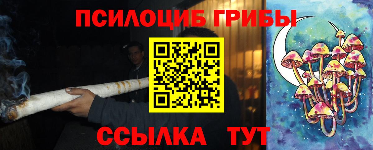 Ржев  Псилоцибиновые грибы MAGIC MUSHROOMS  Вход с VPN  Галлюциногенные грибы мухоморы 